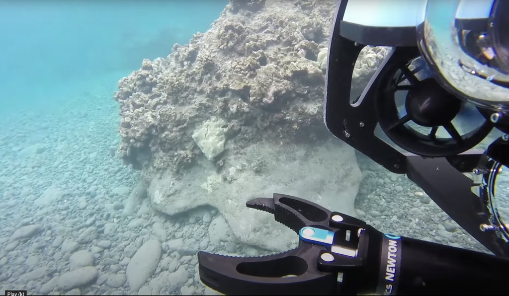 Newton Subsea Gripper