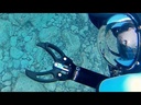 Newton Subsea Gripper